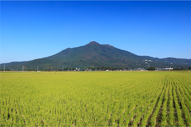坂東太郎の原点は母の里山にあります